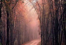 jbo竞博体育：斯皮思罕见出战高知特精英赛 增加赛事频率调状态.