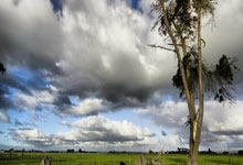 jbo竞博电竞:《圖片報》:拜仁打算繼續讓圖赫爾執教到賽季末,但他現在有點喜怒無常!.