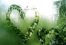 欧罗巴：罗马大战波尔图，裁判判决成焦点，谨慎应对至关重要.