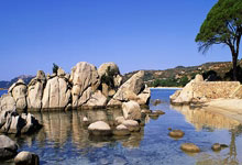 jbo竞博.体育官方网站:NBA:收获连胜 雷霆队130-106灰熊队.